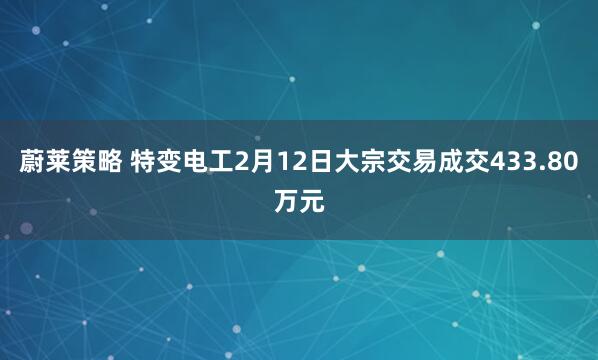蔚莱策略 特变电工2月12日大宗交易成交433.80万元